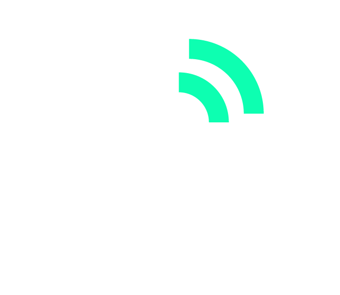 CapeNet_Light Logo